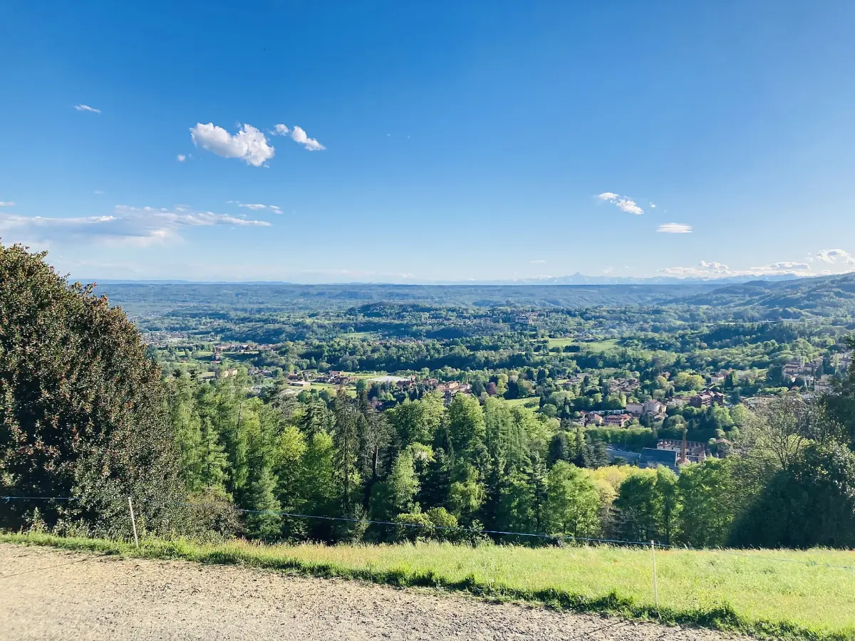 Vista dal Parco Burcina sulle colline verdi intorno a Biella