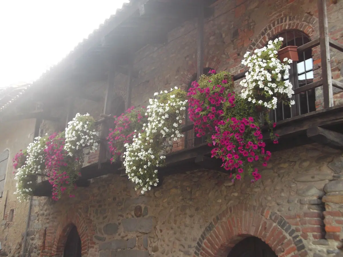 Balcone in legno fiorito su un muro medievale in mattoni a Candelo
