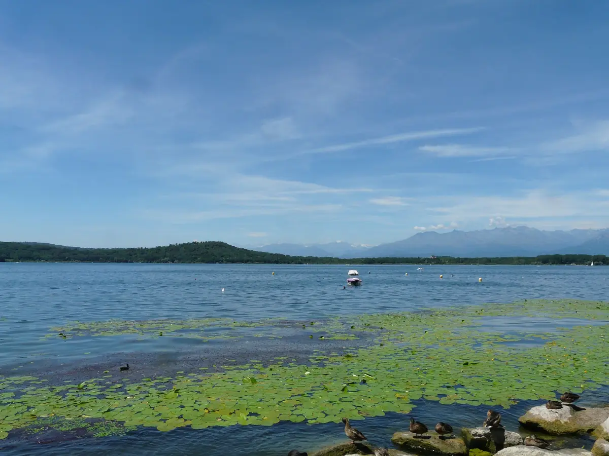 Il Lago di Viverone calmo con nuvole sottili e Alpi lontane