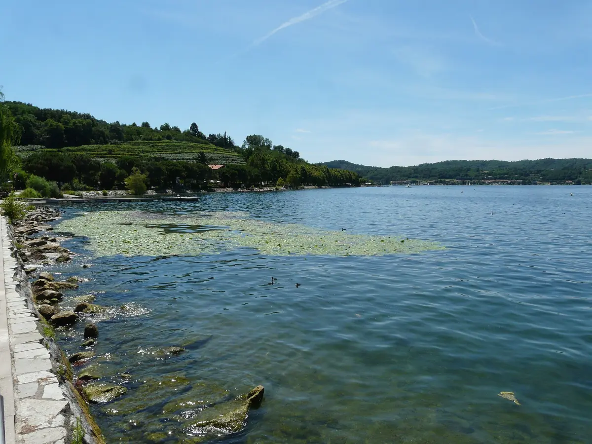 Muretto in pietra e acqua limpida del lago con ninfee a Viverone